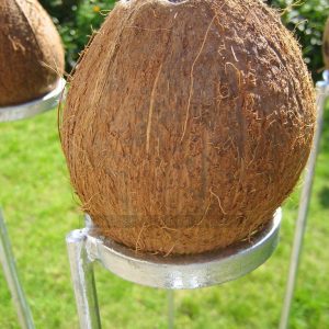 Coconut Shy