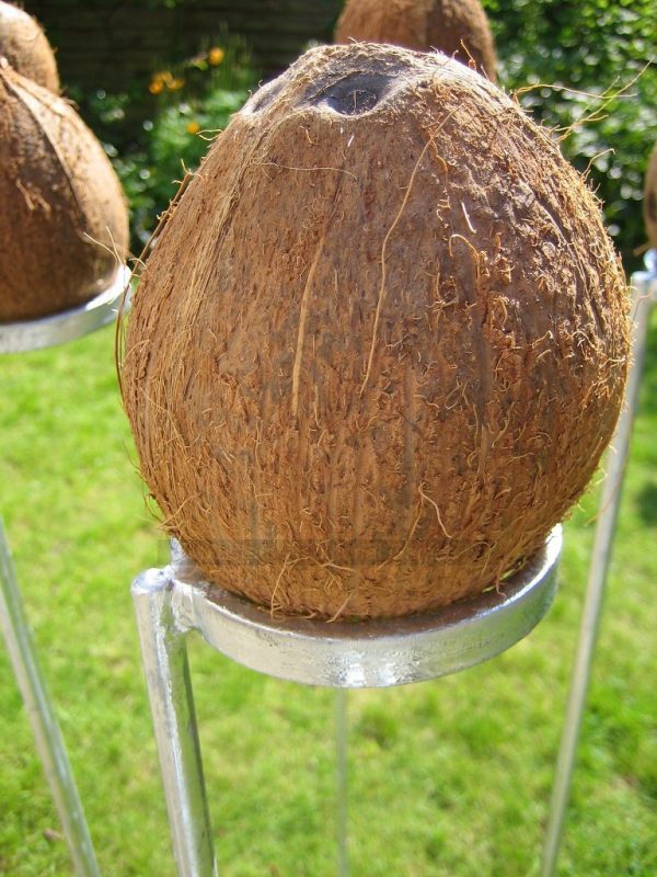 Single coconut shy post
