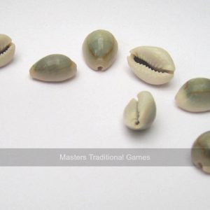 Set of 7 cowrie shell (for use as binary dice)