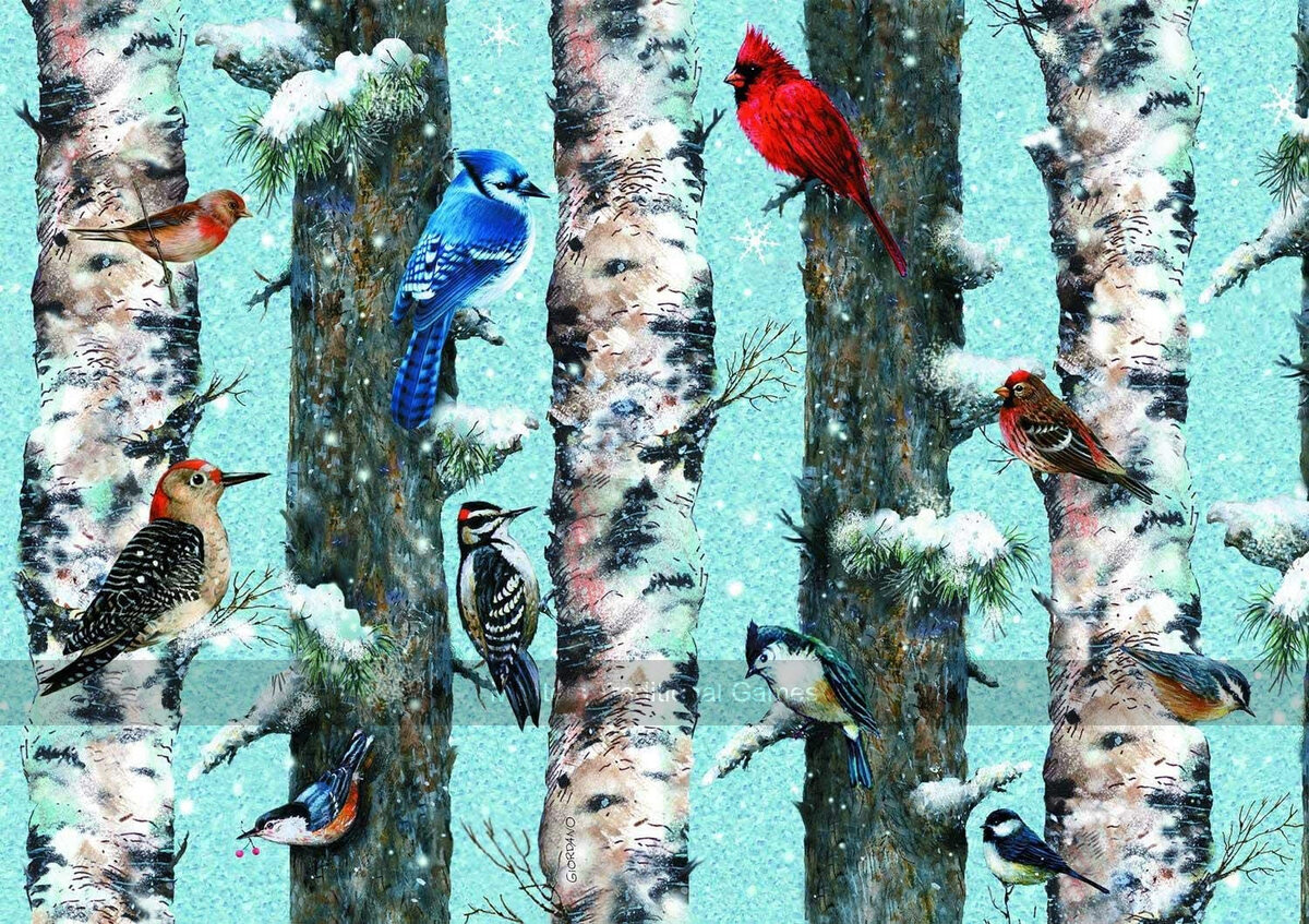 Birds 1000 Piece Jigsaw Puzzle by Piatnik