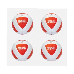 Teqball - TEQ BALL x 4